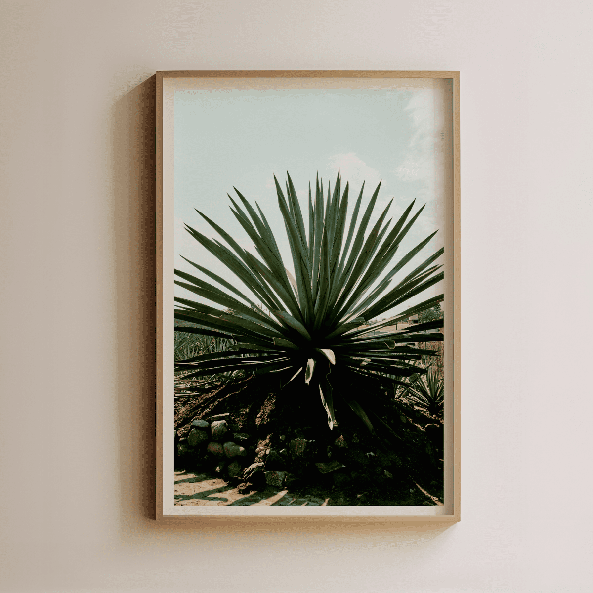 Sandgrain Studio Agave Art Print - Bold Desert Botanical Wall Art by Luis Martinez