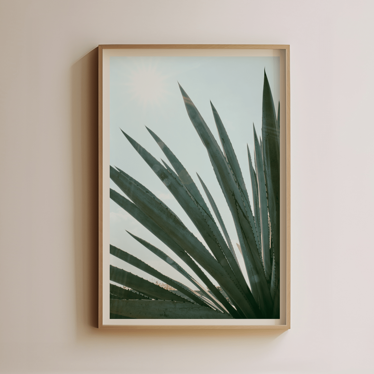 Sandgrain Studio Agave in Sunlight by Luis Martinez | Modern Desert Botanical Wall Art Print