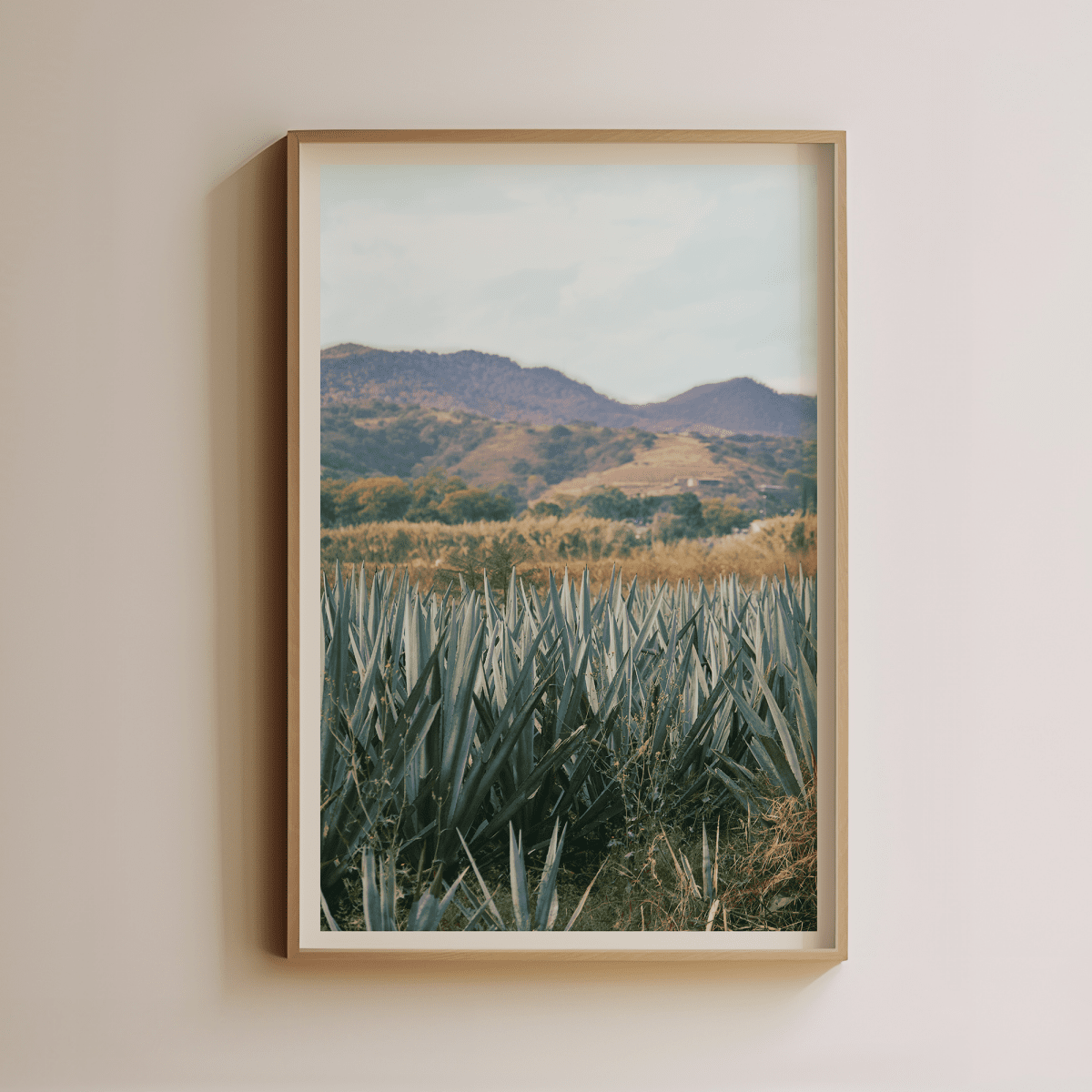 Sandgrain Studio Oaxaca Agave Fields Art Print - Mexican Landscape Photography