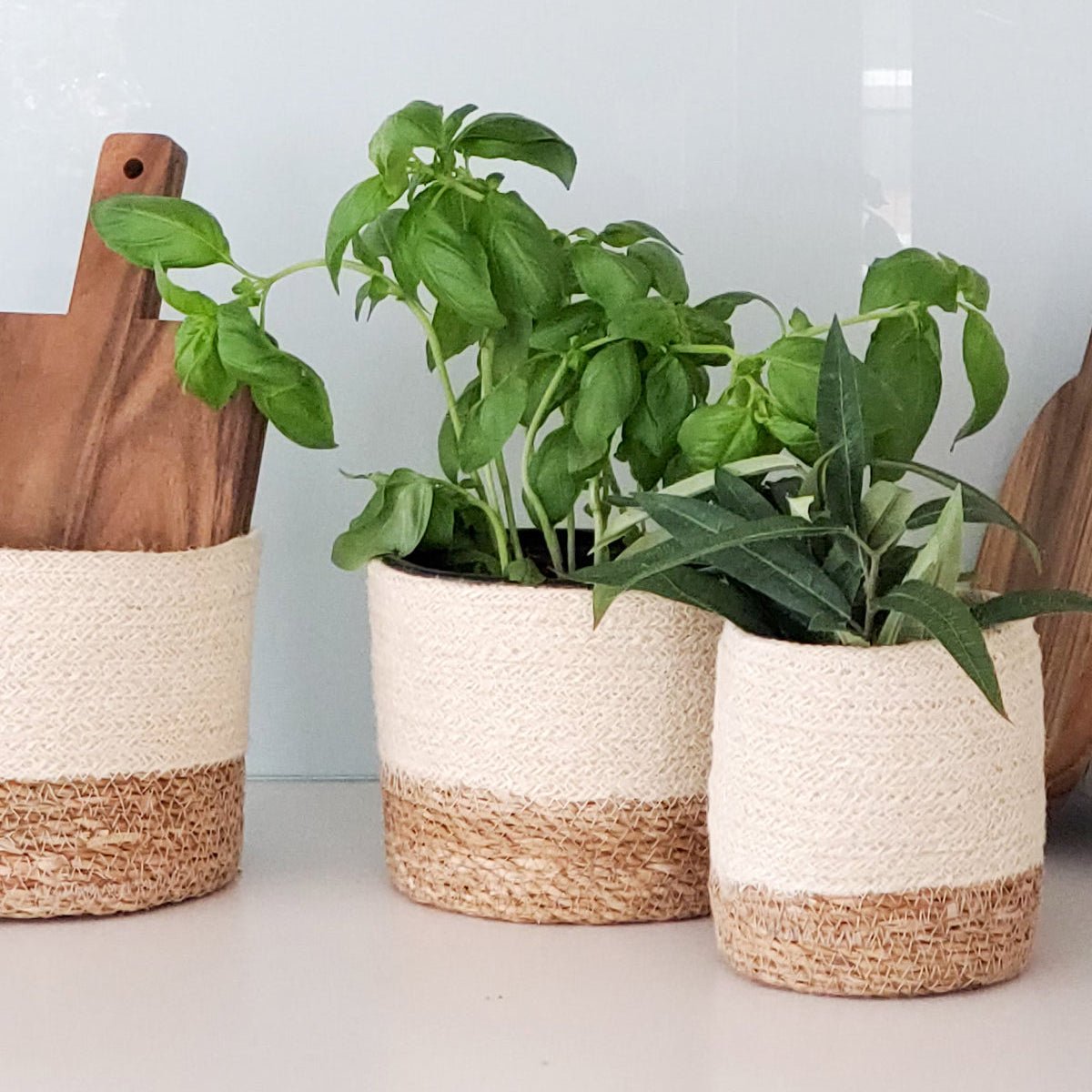 KORISSA Savar Jute & Seagrass Cachepot Basket