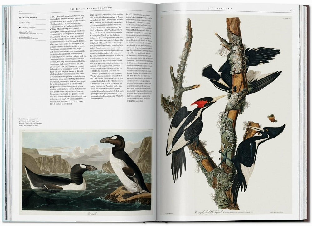 
                      
                        TASCHEN Science Illustration. A History of Visual Knowledge from the 15th Century to Today (Spanish, English, Italian)
                      
                    