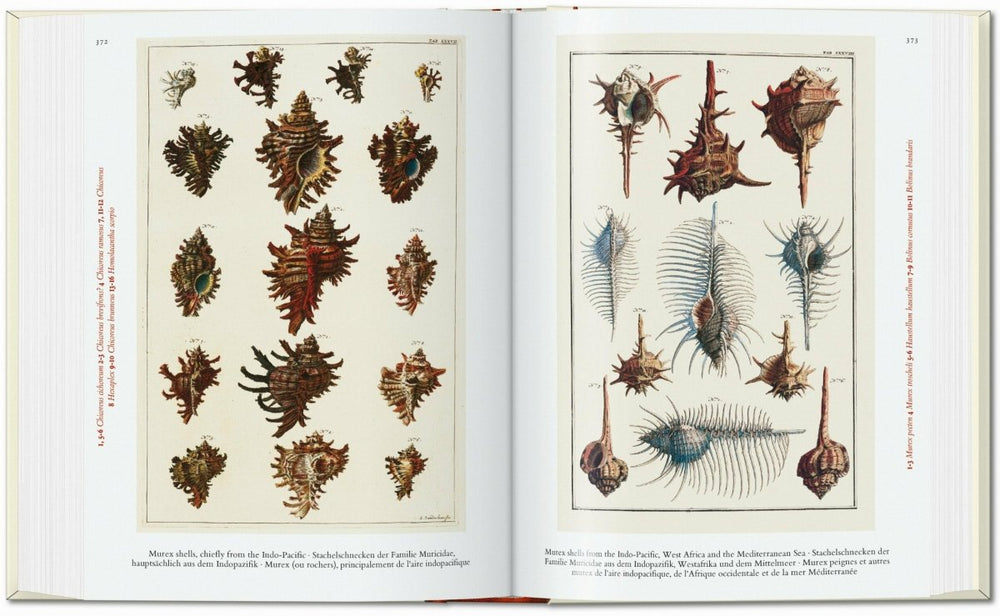 
                      
                        TASCHEN Seba. Cabinet of Natural Curiosities. 40th Ed. (German, French, English) - lily & onyx
                      
                    