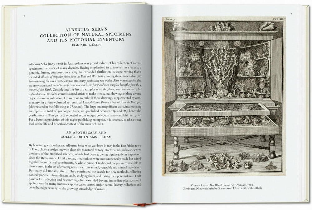 
                      
                        TASCHEN Seba. Cabinet of Natural Curiosities. 40th Ed. (German, French, English) - lily & onyx
                      
                    