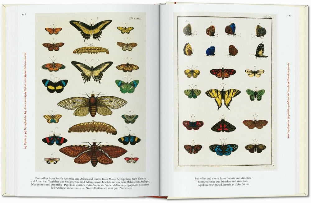
                      
                        TASCHEN Seba. Cabinet of Natural Curiosities. 40th Ed. (German, French, English) - lily & onyx
                      
                    