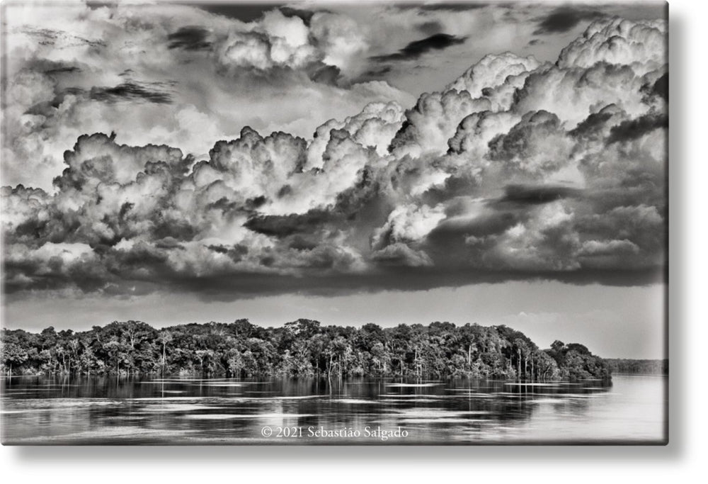 TASCHEN Sebastião Salgado. Amazônia. Magnet ‘Parana’ - lily & onyx