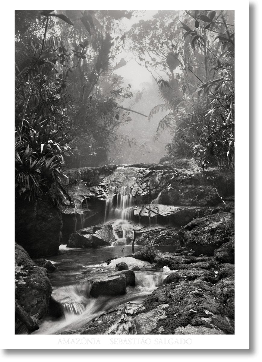 TASCHEN Sebastião Salgado. Amazônia. Poster ‘Creek’ - lily & onyx