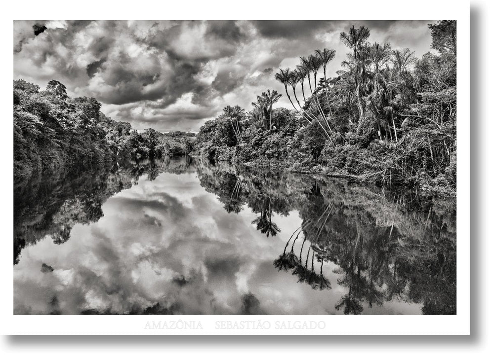 TASCHEN Sebastião Salgado. Amazônia. Poster ‘Jau River’ - lily & onyx