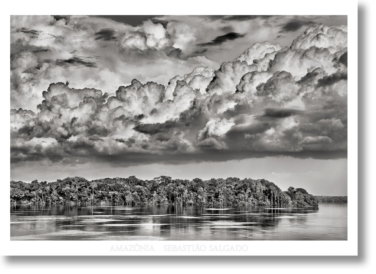 TASCHEN Sebastião Salgado. Amazônia. Poster ‘Parana’ - lily & onyx