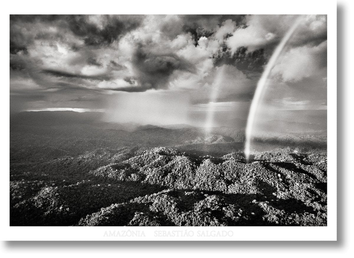 TASCHEN Sebastião Salgado. Amazônia. Poster ‘Rainbow’ - lily & onyx