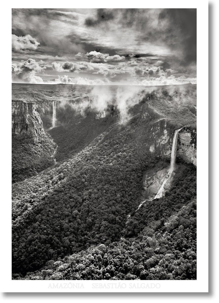 TASCHEN Sebastião Salgado. Amazônia. Poster ‘Waterfalls’ - lily & onyx