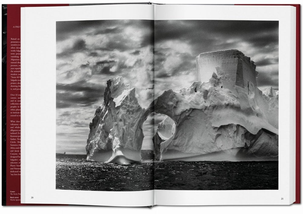 
                      
                        TASCHEN Sebastião Salgado. Genesis (English) - lily & onyx
                      
                    