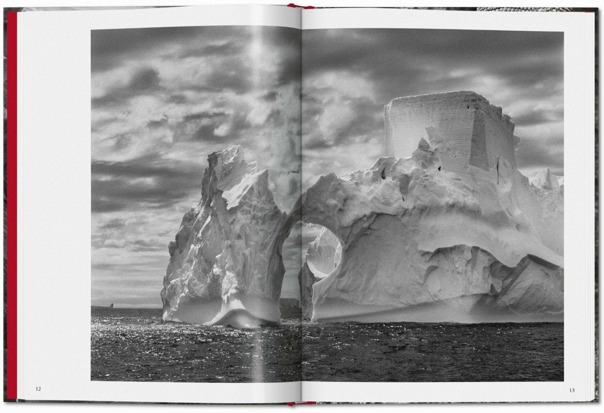 TASCHEN Sebastião Salgado. Genesis (French) - lily & onyx