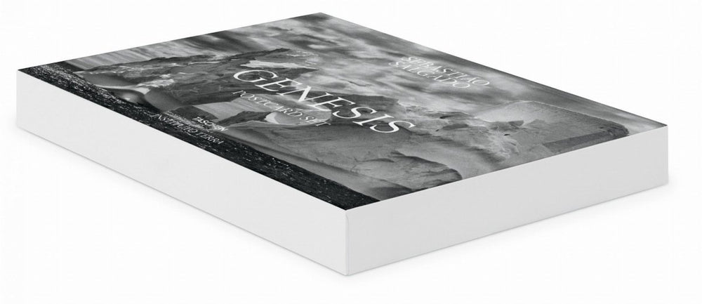 TASCHEN Sebastião Salgado. Genesis. Postcard Set (German, Spanish, French, English) - lily & onyx