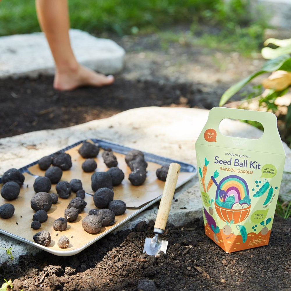 
                      
                        Modern Sprout Seed Ball Kits - lily & onyx
                      
                    