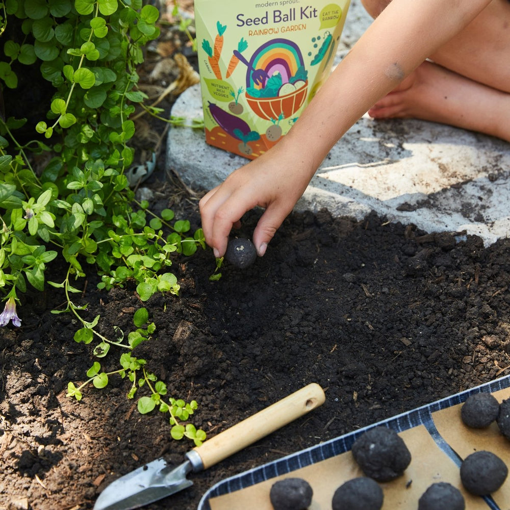 
                      
                        Modern Sprout Seed Ball Kits - lily & onyx
                      
                    