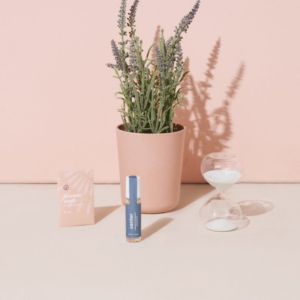 Modern Sprout Seek Peace - Mindful Meditation Kit - lily & onyx