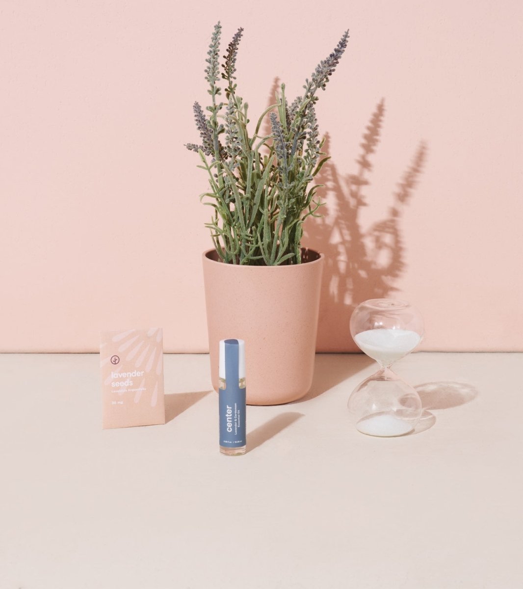 Modern Sprout Seek Peace - Mindful Meditation Kit - lily & onyx