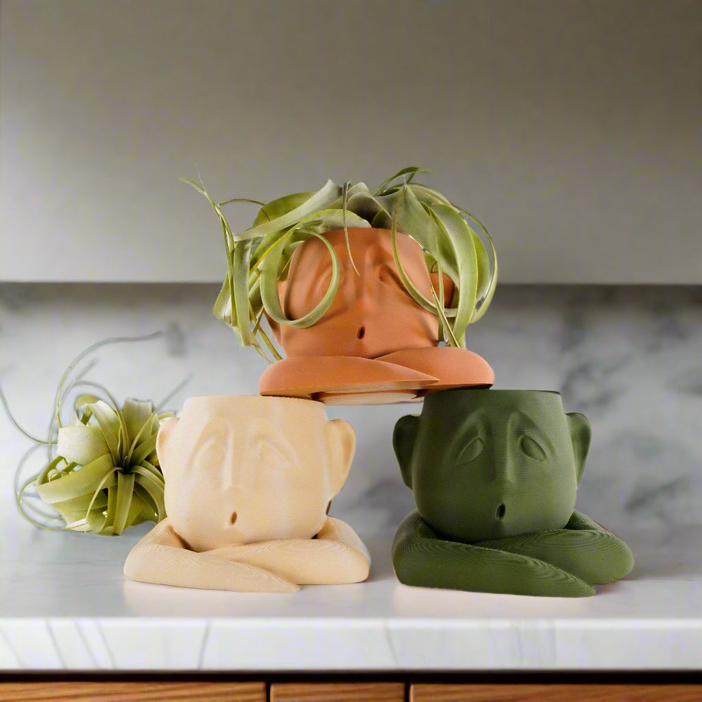 Shady Air Head Planter