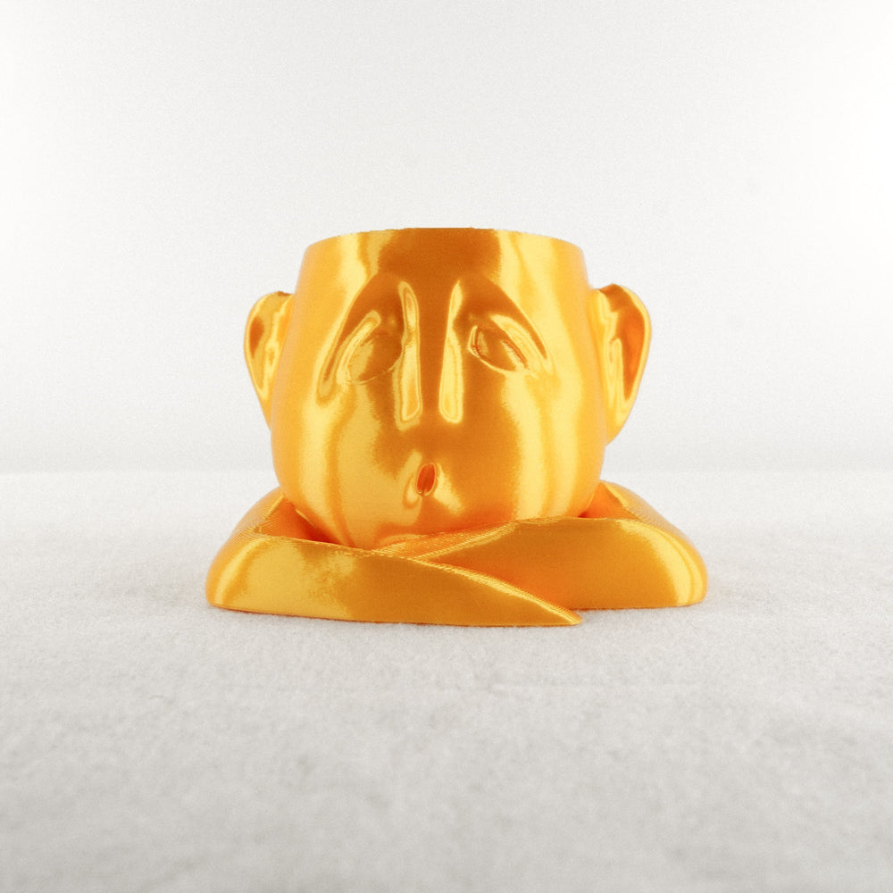 
                      
                        Shady Air Head Planter
                      
                    