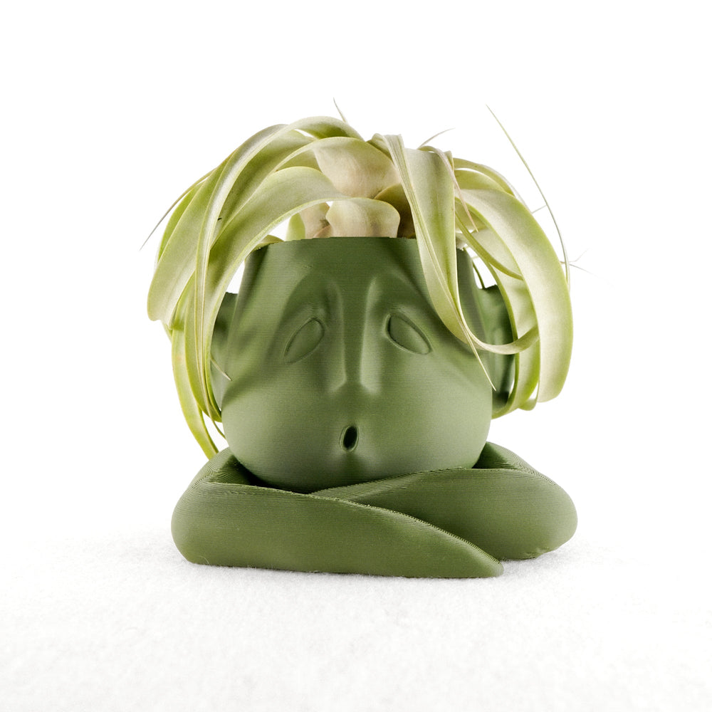 
                      
                        Shady Air Head Planter
                      
                    