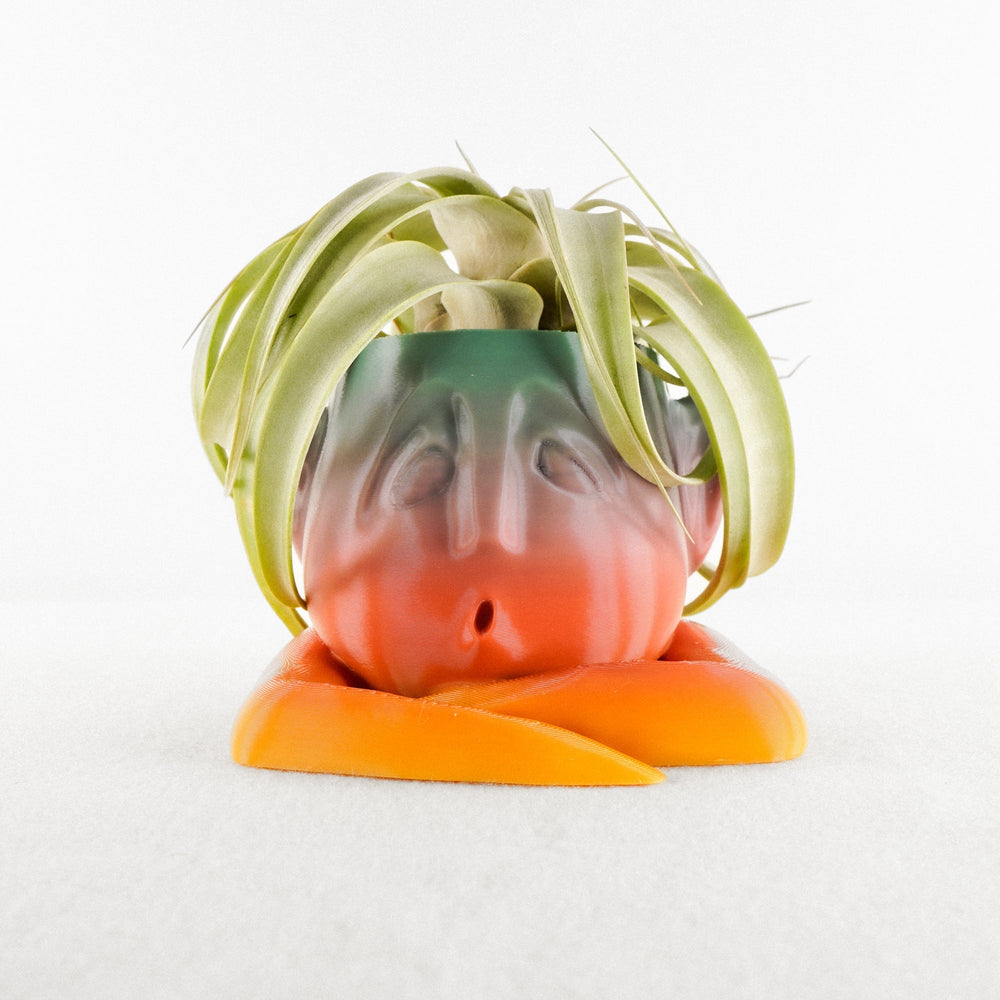
                      
                        Shady Air Head Planter
                      
                    