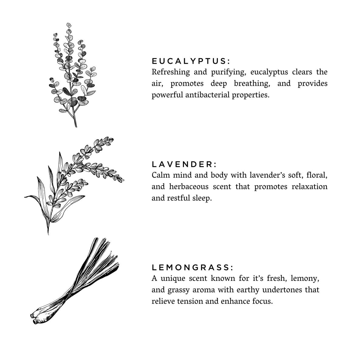 Slow North Shangri - La | Eucalyptus + Lavender + Lemongrass | Frosted Candle, 8 oz - lily & onyx