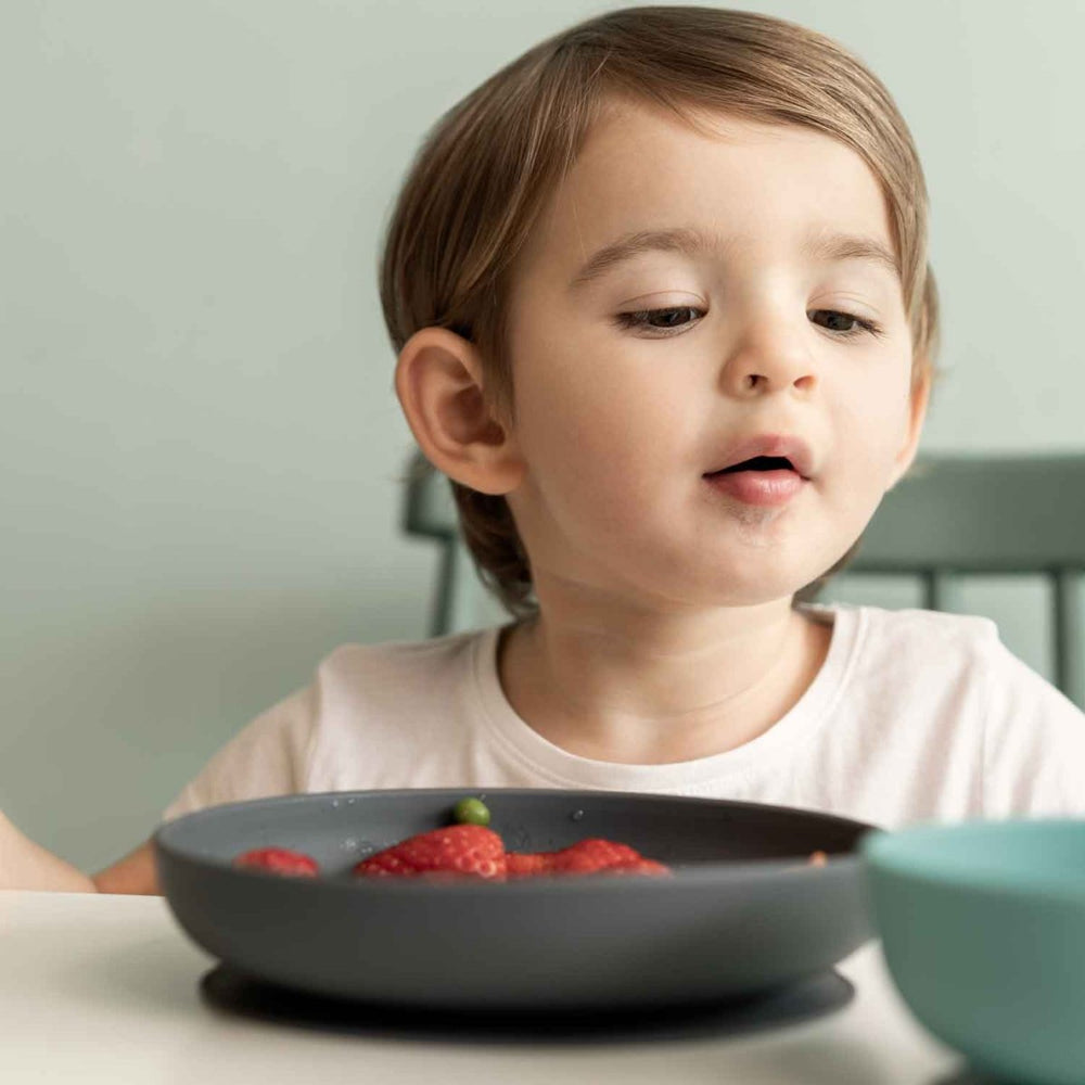 
                      
                        EKOBO Silicone Suction Baby Plate Set - Cloud / Storm - lily & onyx
                      
                    