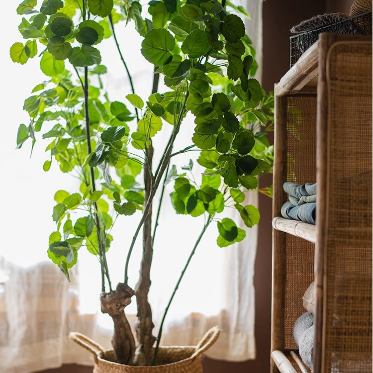 
                      
                        RusticReach Silk Artificial Apple Banyan Leaf Tree In Pot - lily & onyx
                      
                    