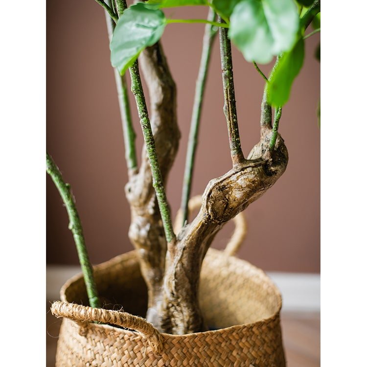 
                      
                        RusticReach Silk Artificial Apple Banyan Leaf Tree In Pot - lily & onyx
                      
                    