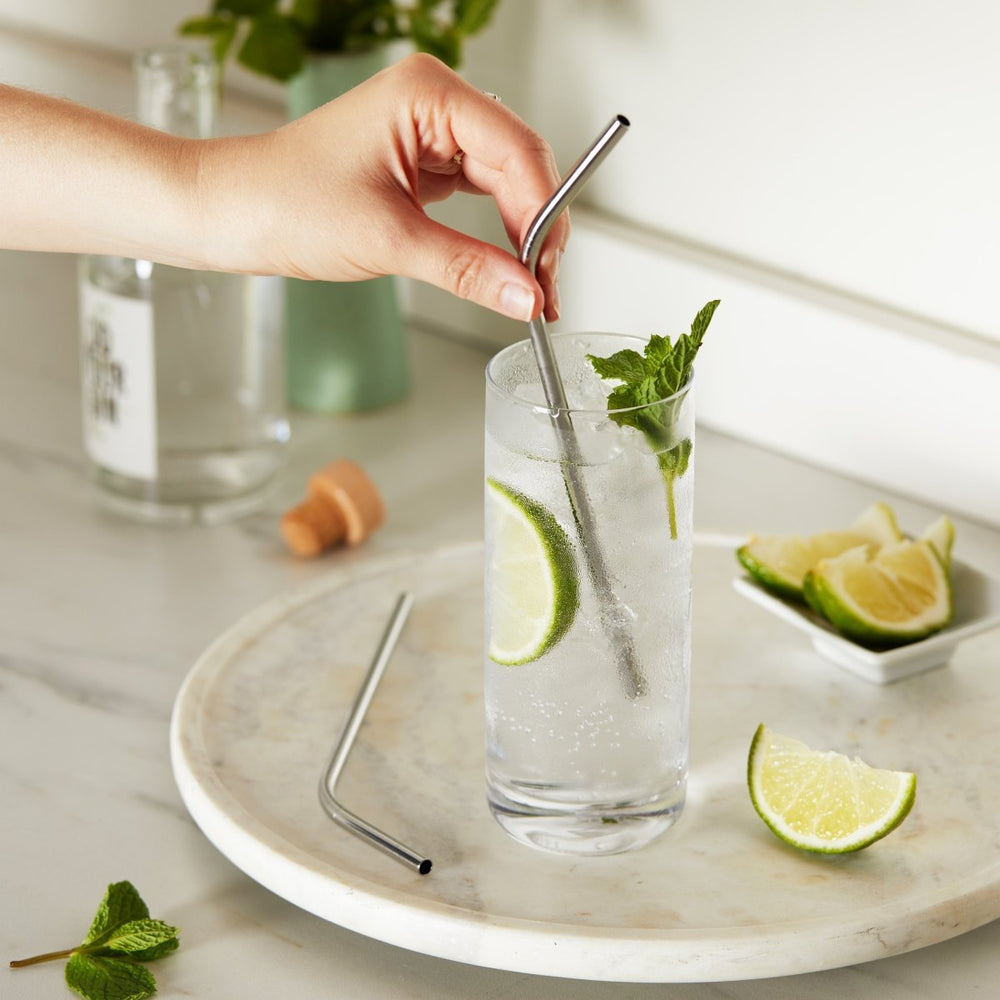 
                      
                        True Sippy Stainless Steel Straws, Set of 4 - lily & onyx
                      
                    