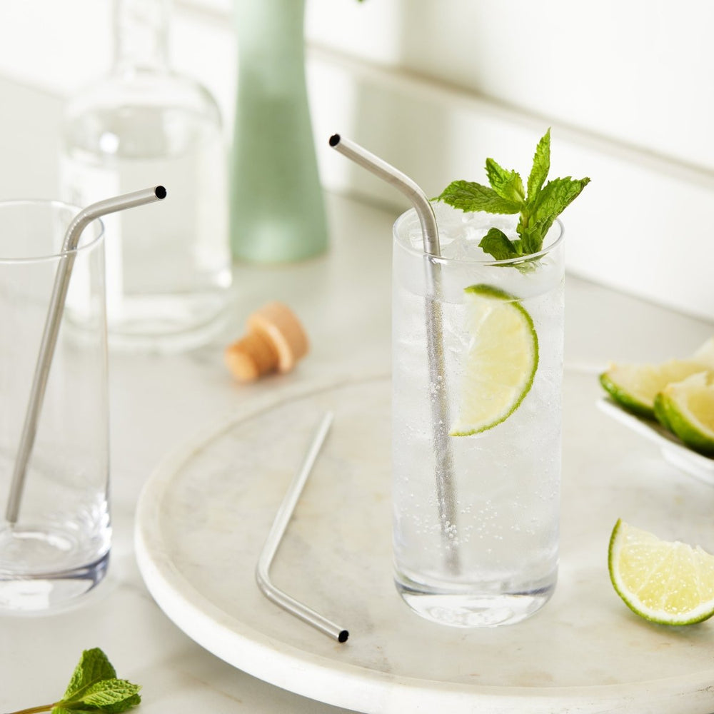 True Sippy Stainless Steel Straws, Set of 4 - lily & onyx