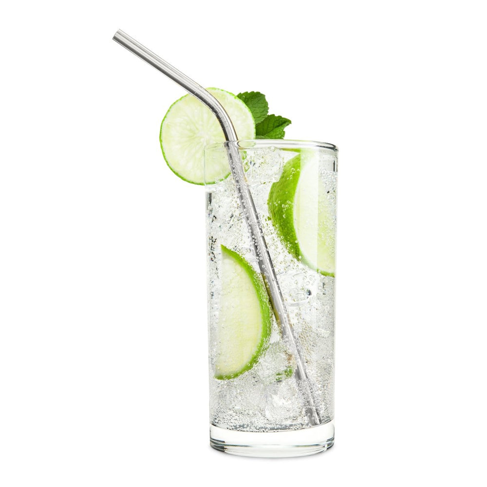 
                      
                        True Sippy Stainless Steel Straws, Set of 4 - lily & onyx
                      
                    