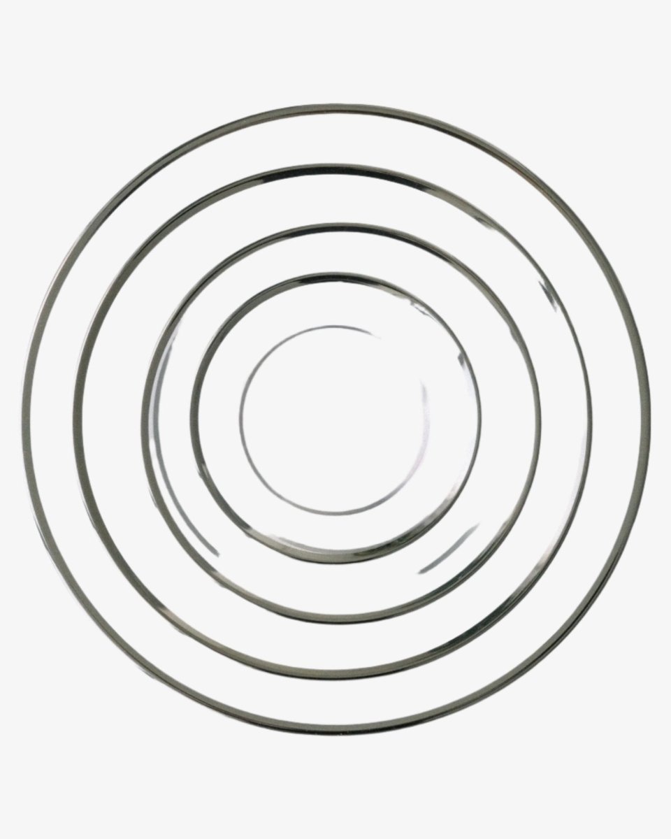 borrowed BLU Siren Dinnerware Plates | Clear + Platinum - lily & onyx