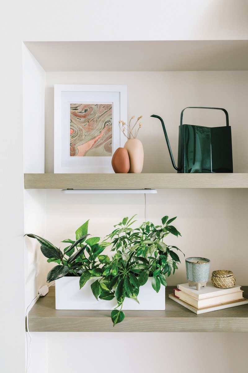 Modern Sprout Smart Growbar - lily & onyx