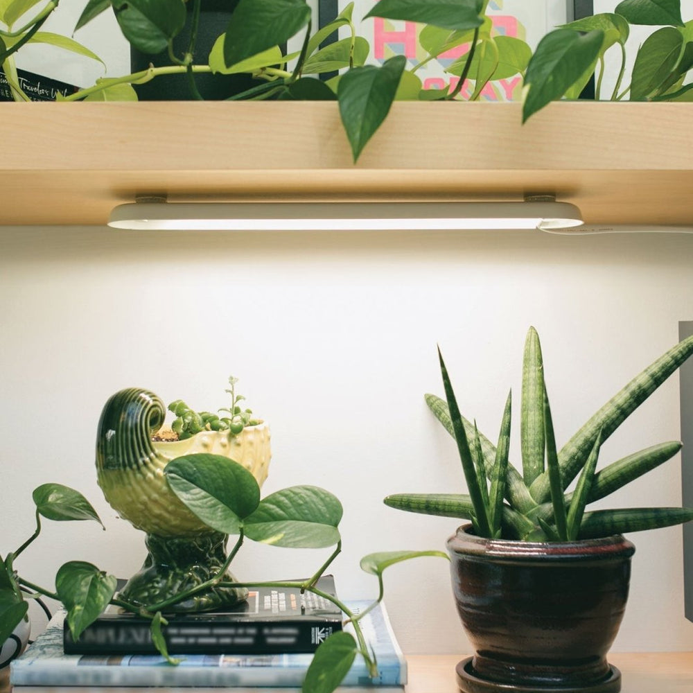 
                      
                        Modern Sprout Smart Growbar - lily & onyx
                      
                    
