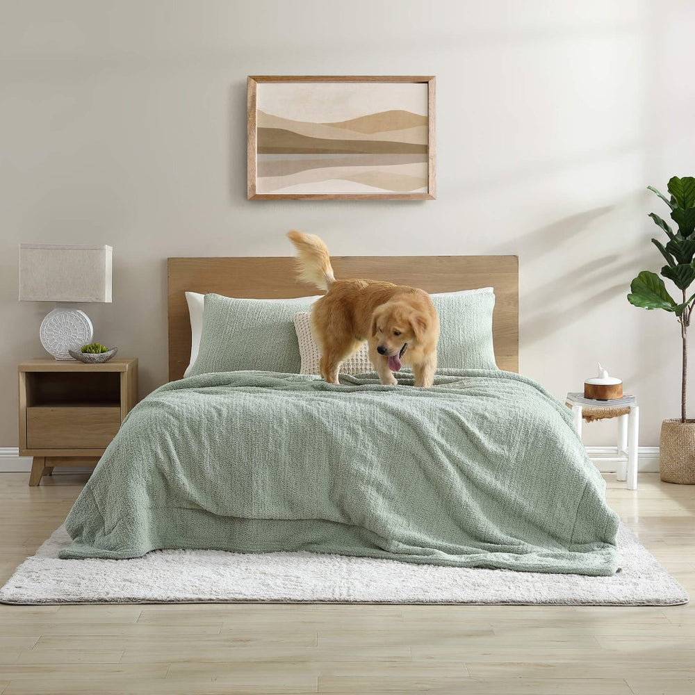
                      
                        Sunday Citizen Snug + Bamboo Sham Set - lily & onyx
                      
                    