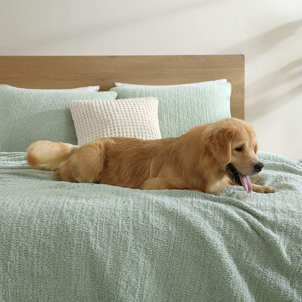 
                      
                        Sunday Citizen Snug + Bamboo Sham Set - lily & onyx
                      
                    