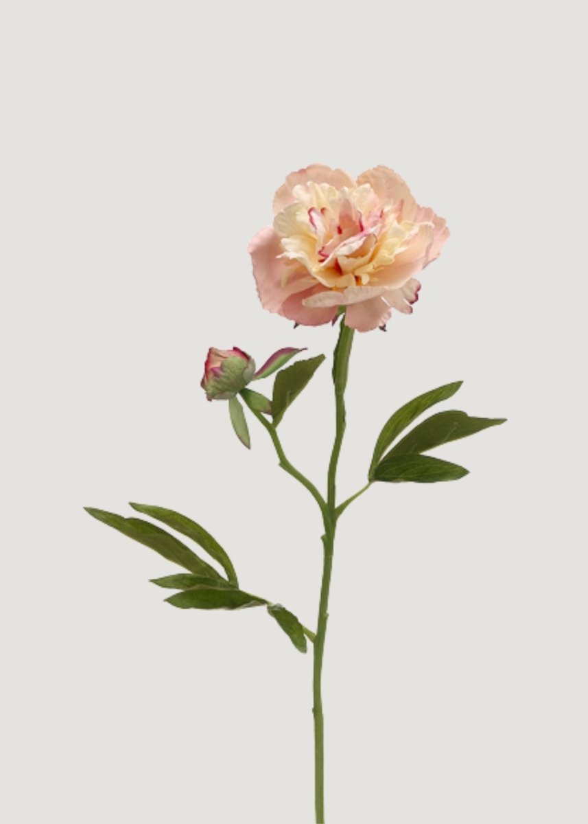 Afloral Soft Apricot Pink Peony Fake Flower - 22" - lily & onyx