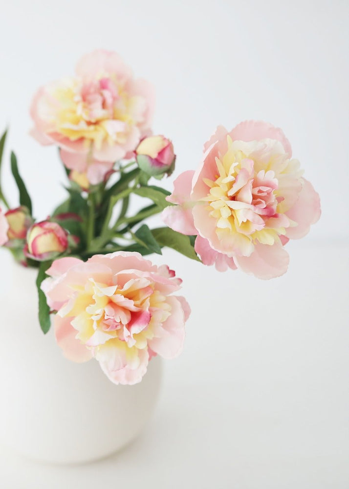 
                      
                        Afloral Soft Apricot Pink Peony Fake Flower - 22" - lily & onyx
                      
                    