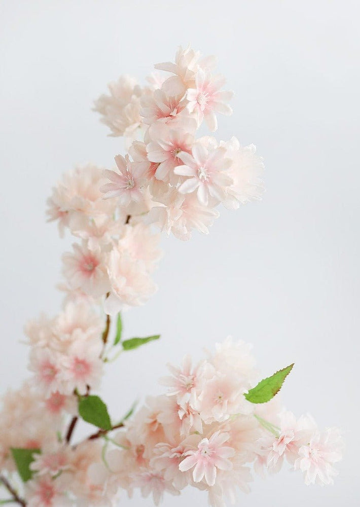 
                      
                        Afloral Soft Pink Faux Cherry Blossom Branch, 40" - lily & onyx
                      
                    