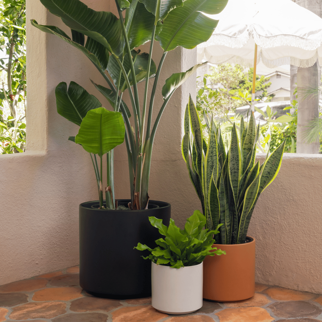 LBE Design Solid Goods 15 Inch Ceramic Cylinder Planter - lily & onyx