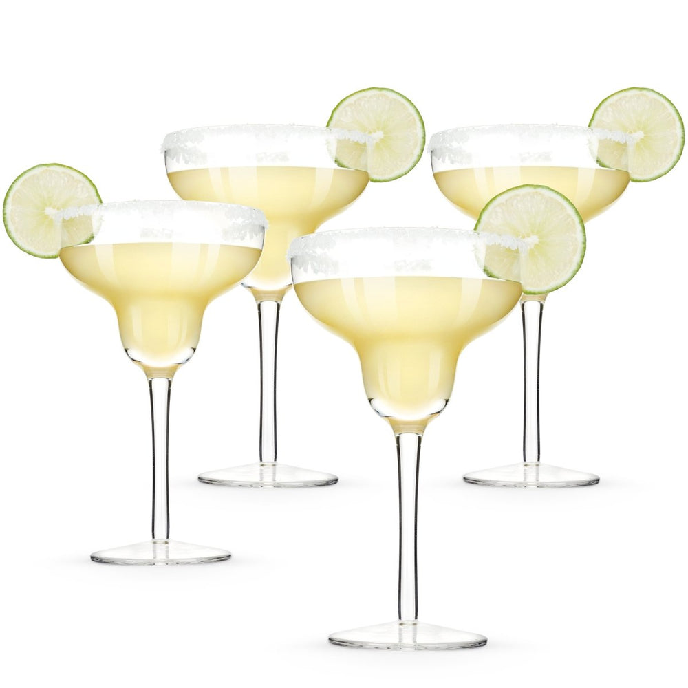 True Sorbo 10 oz Margarita Glasses, Set of 4 - lily & onyx