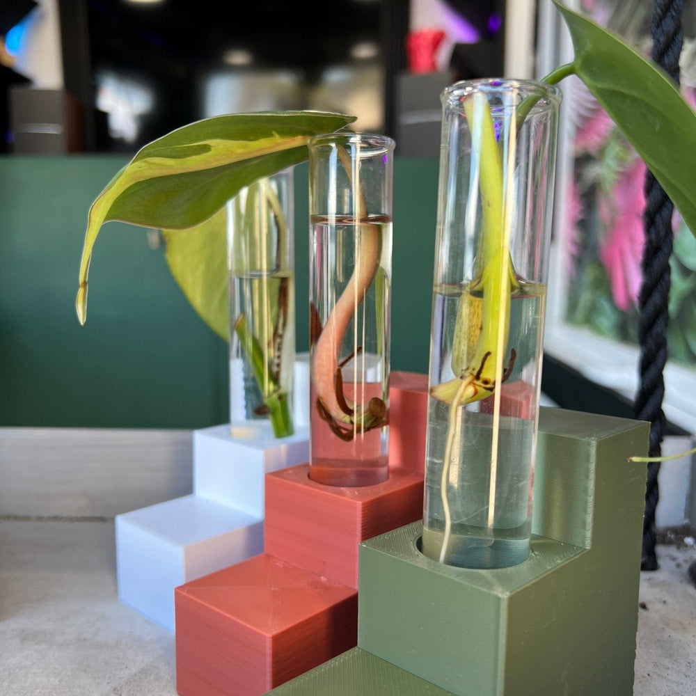 
                      
                        Step Stand Propagation Station
                      
                    