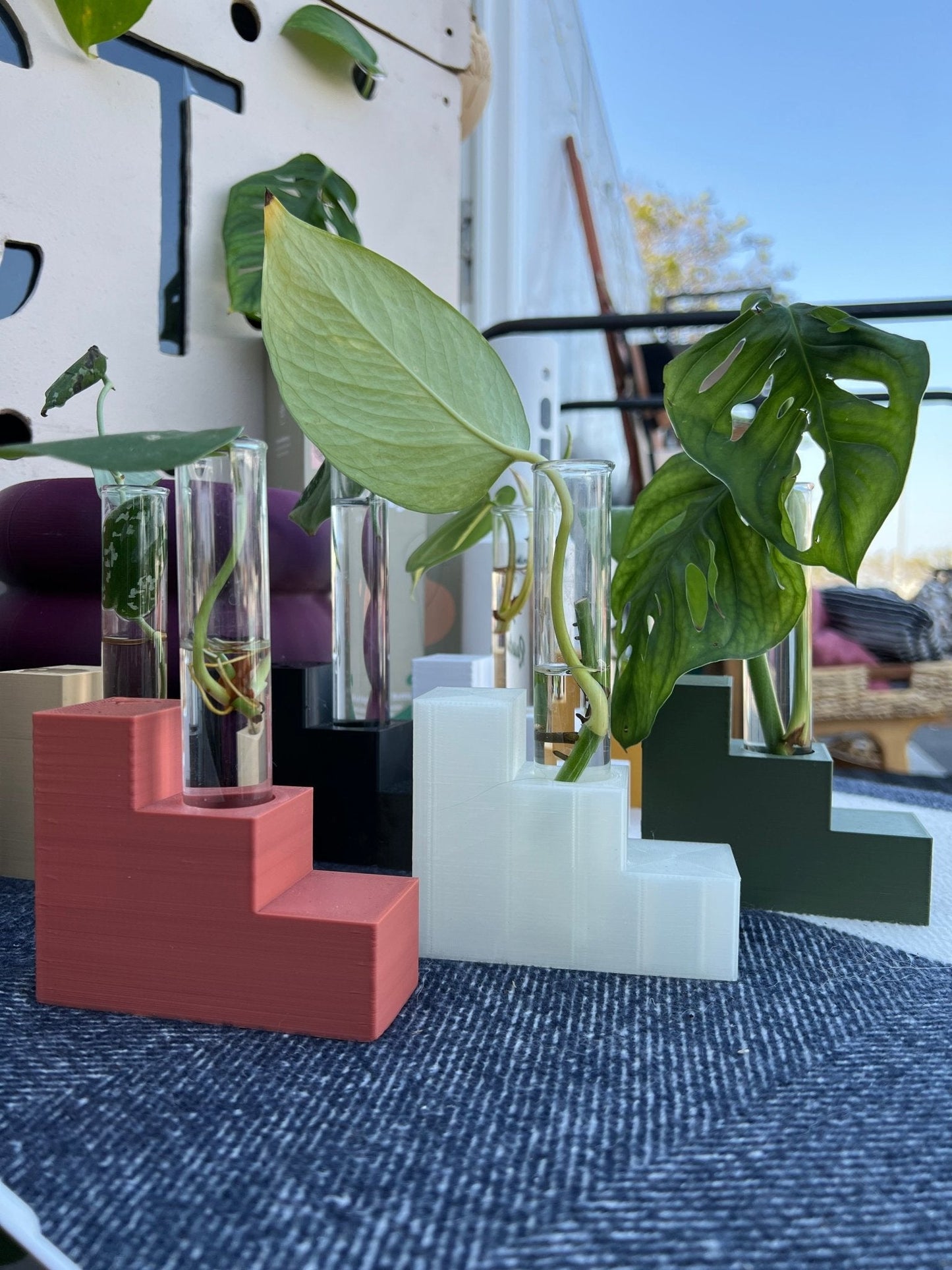 Step Stand Propagation Station