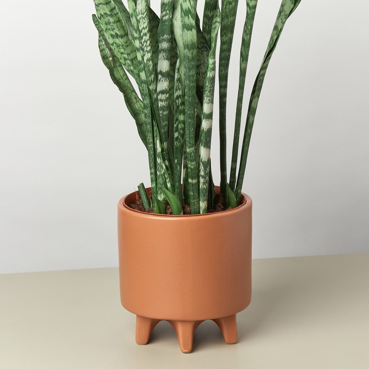 lily & onyx Stone Footed Plant Pot, 6.5 Inch
