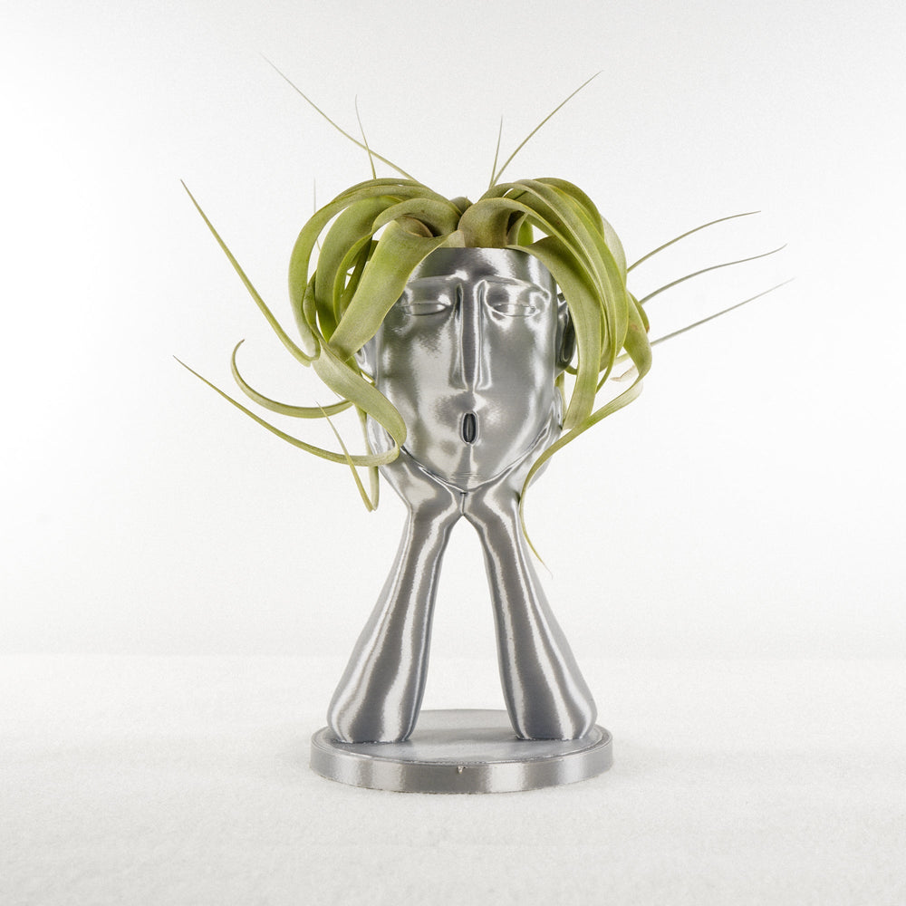 
                      
                        Stonehenge “Oops” Air Head Planter
                      
                    