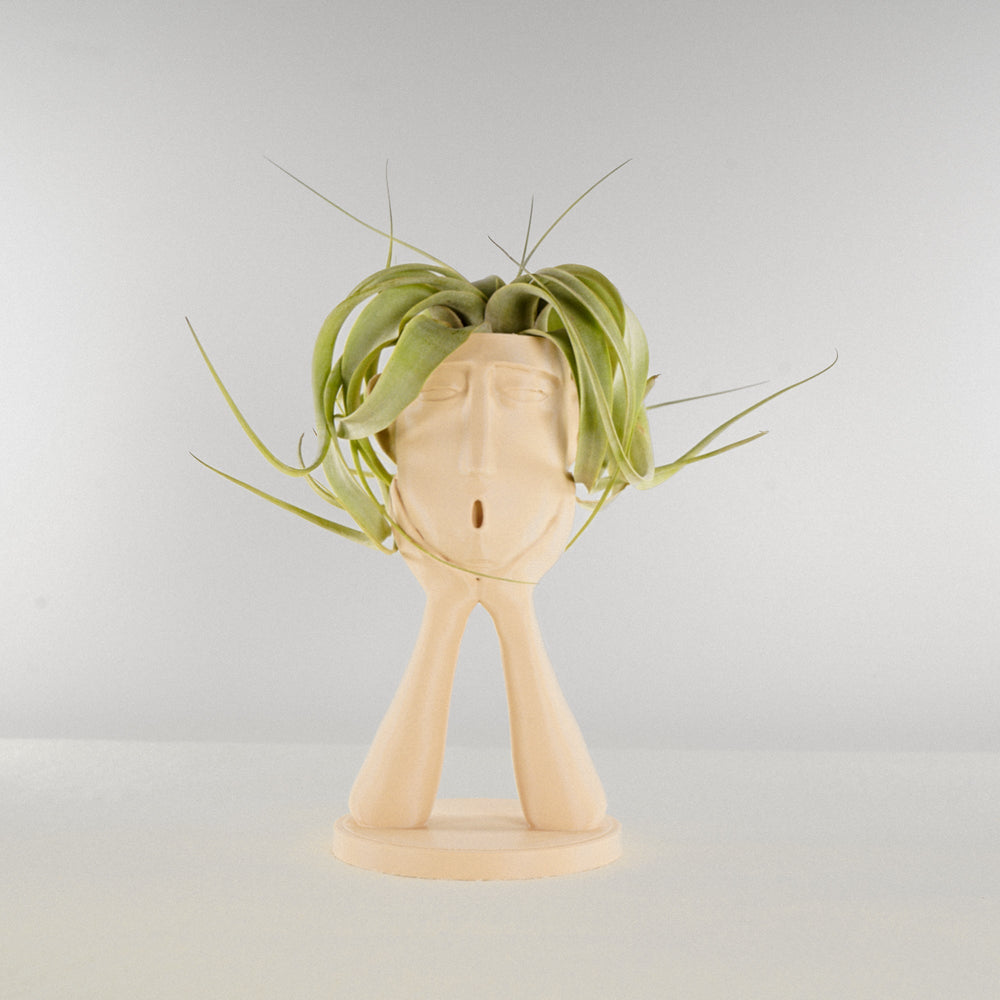 
                      
                        Stonehenge “Oops” Air Head Planter
                      
                    