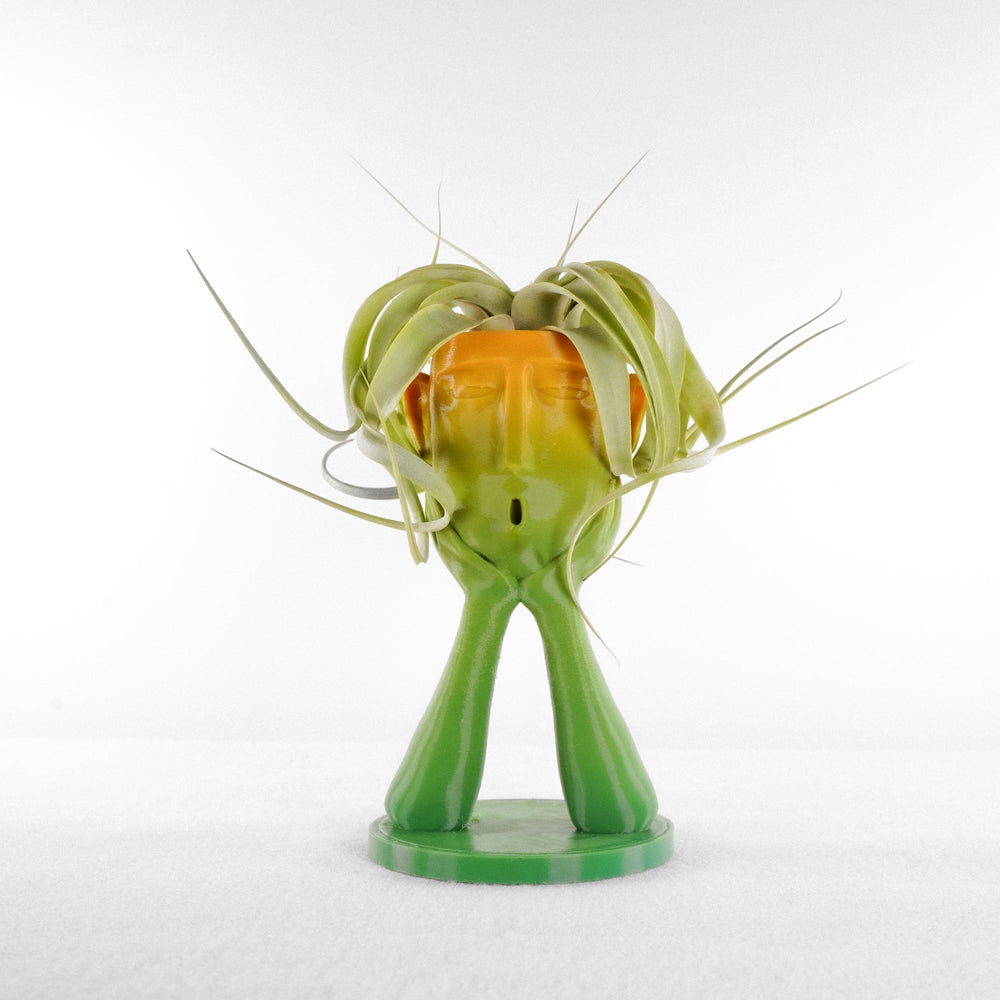 
                      
                        Stonehenge “Oops” Air Head Planter
                      
                    