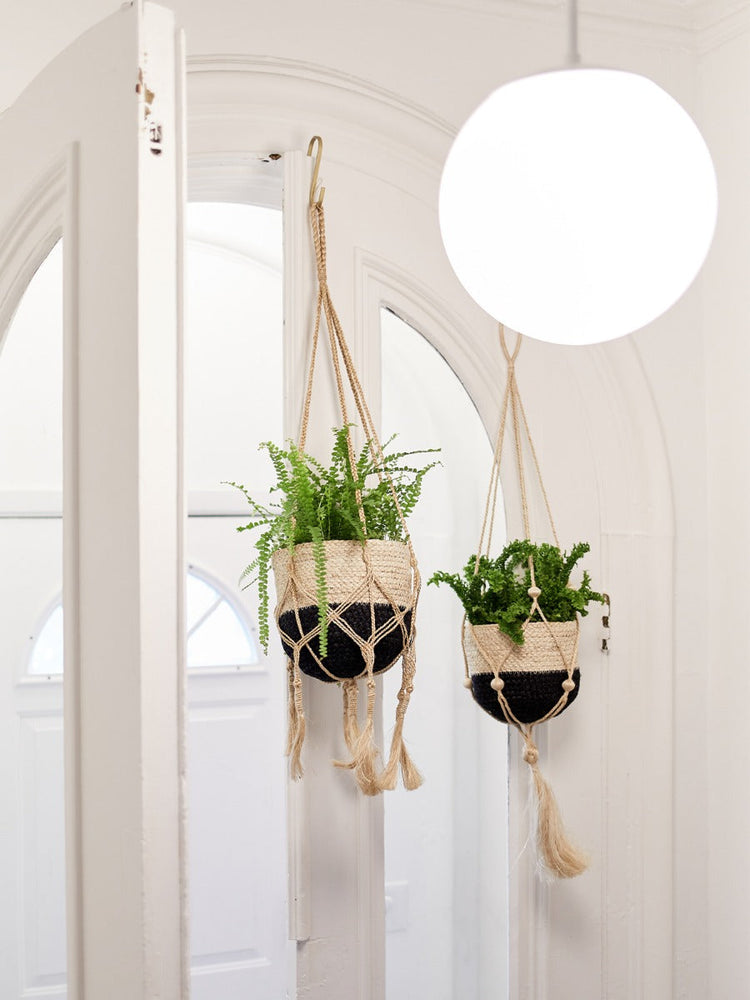 
                      
                        Plant Hanger, Nadu
                      
                    