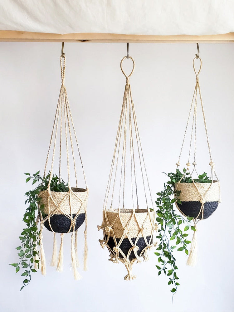 
                      
                        Plant Hanger, Bitan
                      
                    